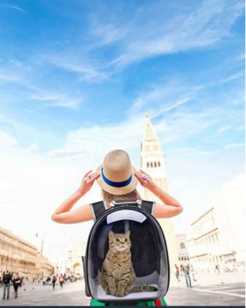 Backpack Carrier For Cats & Small Dogs